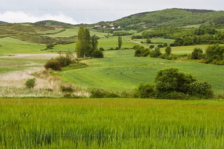 06841-Lago de Caicedo, Yuso, Alava, Euskadi