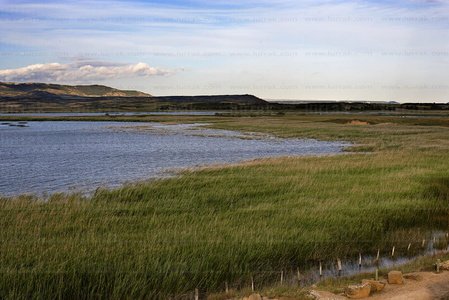07001-Laguna de Pitillas. Navarra