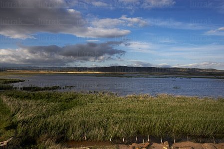 07002-Laguna de Pitillas. Navarra