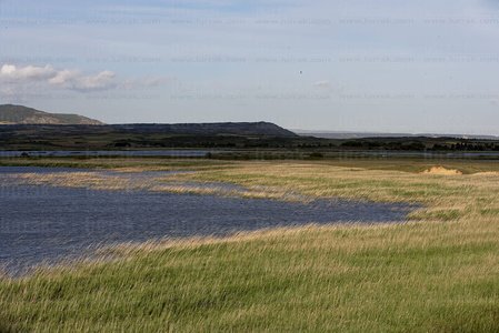 07004-Laguna de Pitillas. Navarra