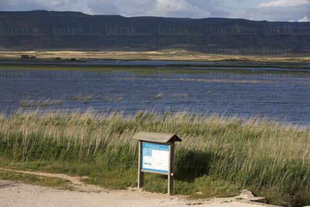 07010-Laguna de Pitillas. Navarra