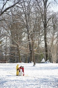 07125-Nieve en el Parque de Aiete. San Sebastián, Gipuzkoa, Eus