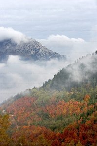 07527-Parque Natural de Urkiola, Bizkaia, Euskadi