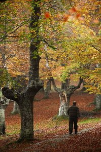07532-Otoño en el Parque Natural de Urkiola, Bizkaia, Euskadi