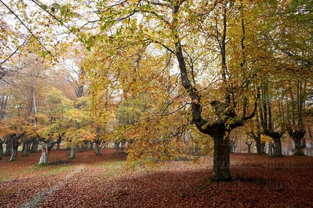 07535-Parque Natural de Urkiola, Bizkaia, Euskadi