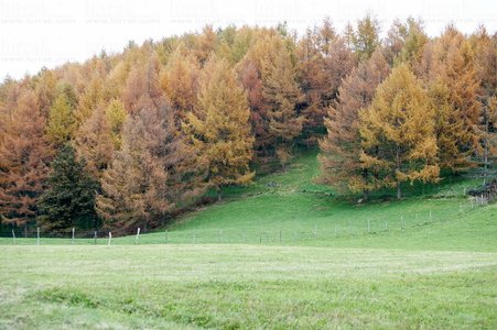07540-Parque Natural de Urkiola, Bizkaia, Euskadi