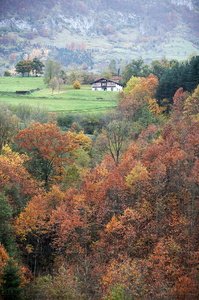 07606-Sierra de Aralar. Gipuzkoa, Euskadi