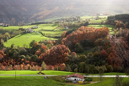 07611-Otoño en Abaltzisketa, Gipuzkoa