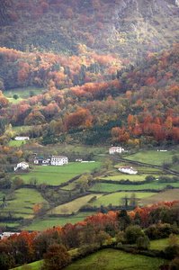 07615-Otoño en Abaltzisketa, Gipuzkoa