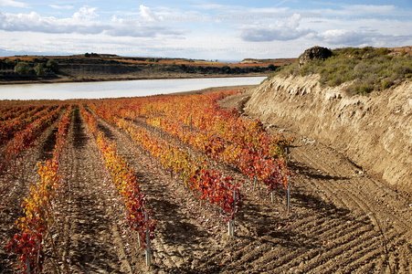 07707-Laguna de Carravalseca. Lagunas de Laguardia, Alava, Euska