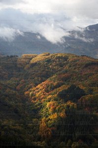 07741-Otoño en el Valle de Araiz, Navarra