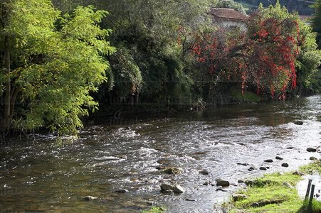 07844-RÍo La Nive des Aldudes. Saint Etienne de Baigorri, Nafar