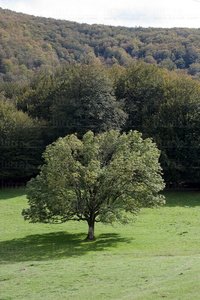 07879-Venta de Ultzama, Arraiz, Navarra