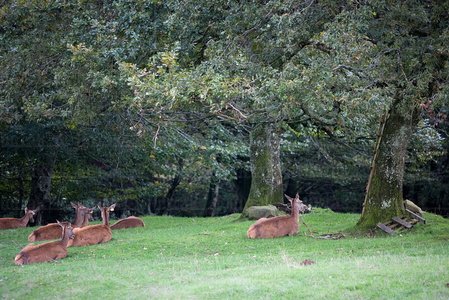 07880-Venta de Ultzama, Arraiz, Navarra