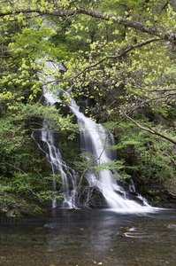 08253-Cascada. Río Urumea. Goizueta, Navarra