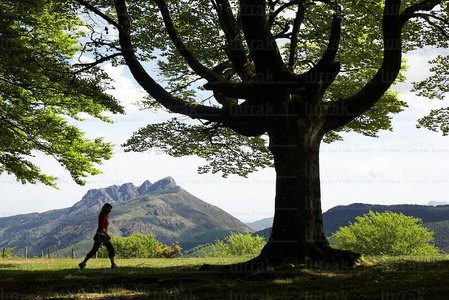 08407-Parque Natural de Peñas de Aia. Oiartzun, Gipuzkoa, Euska
