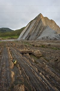 08473-Flysch. Zumaia, Gipuzkoa, Euskadi
