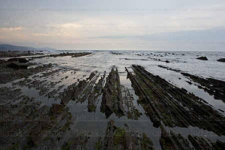 08475-Flysch. Zumaia, Gipuzkoa, Euskadi