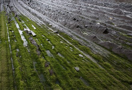 08476-Flysch en Mendata. Zumaia, Gipuzkoa, Euskadi