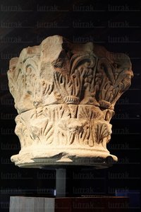 08579-BIBAT. Museo de Arqueología de Alava. Vitoria, Euskadi