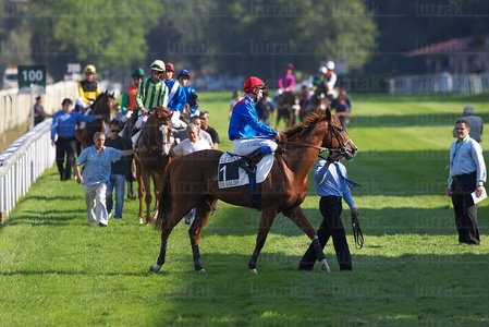 08595-Carreras de Caballos. Hipódromo de Lasarte, Gipuzkoa, Eus