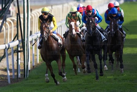 08597-Carreras de Caballos. Hipódromo de Lasarte, Gipuzkoa, Eus