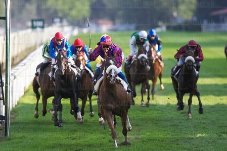 08598-Carreras de Caballos. Hipódromo de Lasarte, Gipuzkoa, Eus
