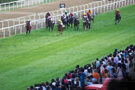 08604-Carreras de Caballos. Hipódromo de Lasarte, Gipuzkoa, Eus