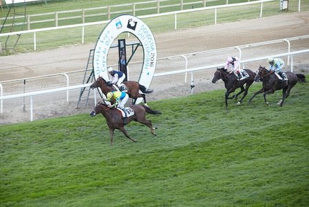 08605-Carreras de Caballos. Hipódromo de Lasarte, Gipuzkoa, Eus