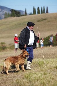 08648-Campeonato de Perros Pastor. Uharte-Arakil, Navarra