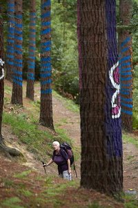 08703-Bosque de Oma. Bizkaia, Euskadi