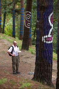 08706-Bosque de Oma. Bizkaia, Euskadi