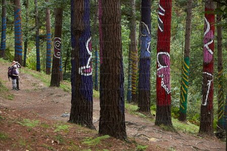 08707-Bosque de Oma. Bizkaia, Euskadi