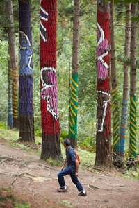08709-Bosque de Oma. Bizkaia, Euskadi