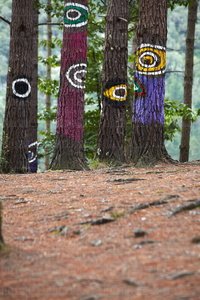 08712-Bosque de Oma. Bizkaia, Euskadi