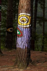 08718-Bosque de Oma. Bizkaia, Euskadi