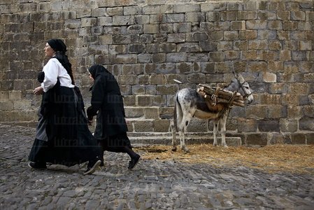 08804-Ohripean, Ochagavía, Navarra