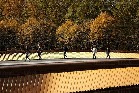 08898-Puente Mundáiz. San Sebastián, Gipuzkoa, Euskadi