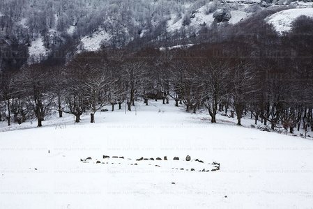 08980-Cromlech de Oianleku. Parque Natural de Peñas de Aia, Oia