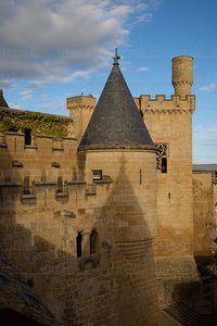 025MDR_0082-Vista-Torreones-Castillo-Olite-Navarra