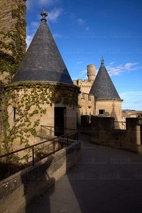025MDR_0081-Pinaculos-Castillo-Olite-Navarra