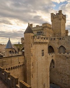 025MDR_0098-Castillo-Olite-Navarra