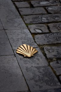 025MDR_0158-Simbolo-Camino-Santiago-Tudela-Navarra