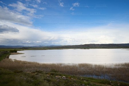 025MDR_0168-Laguna-Pitillas-Navarra