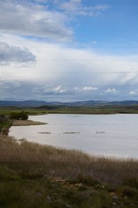 025MDR_0169-Laguna-Pitillas-Navarra