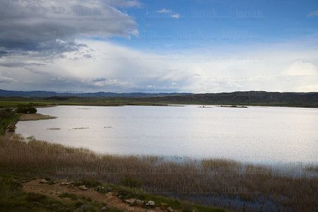 025MDR_0172-Pitillas-Navarra