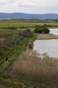 025MDR_0173-Gente-Paseando-Pitillas-Navarra
